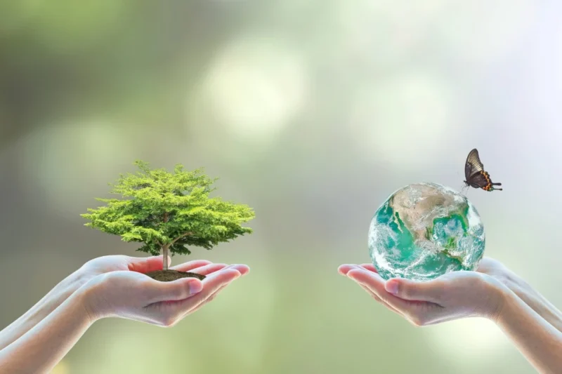 El papel de la tecnología en la conservación de la biodiversidad